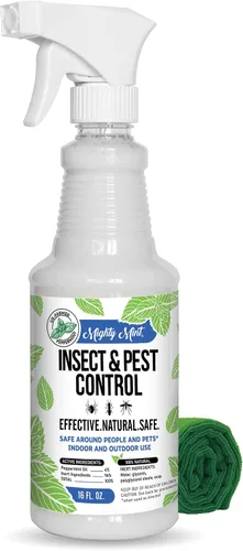 Vista 11 de Mighty Mint Concentrado repelente de insectos de aceite de menta – Control natural de insectos en interiores y exteriores para arañas, hormigas