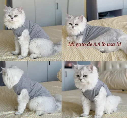 Vista 6 de Camisas para perros, ropa para mascotas, ropa en blanco, 3 piezas, chaleco para cachorros, ropa para gatos, chalecos de algodón suave