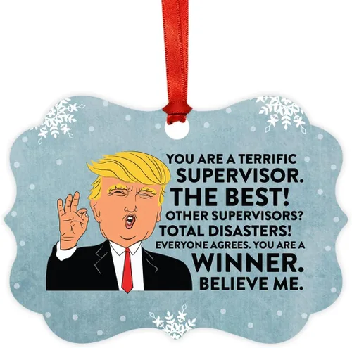 Vista 26 de Andaz Press Presidente Donald Trump Fancy Frame Recuerdo Adorno de Navidad Regalo de broma Ejecutivo de Cuenta, 1 paquete, Divertidas Ideas