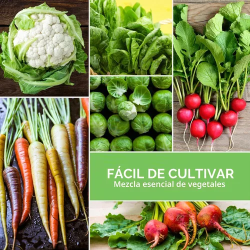 Vista 5 de Fall Vegetable Seeds Collection - 8 Variety Pack for Planting