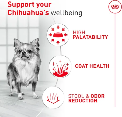 Vista 5 de Royal Canin Chihuahua - Alimento seco específico para perros de raza adulta, bolsa de 2.5 libras Breed Specific Nutrition, Supports Healthy