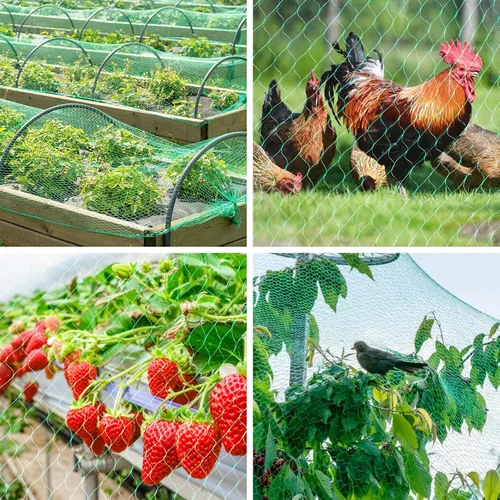 Vista 6 de Kikhope Red antipájaros, red para plantas de jardín de 13 x 20 pies para proteger verduras, plantas y árboles frutales de aves y animales Anti