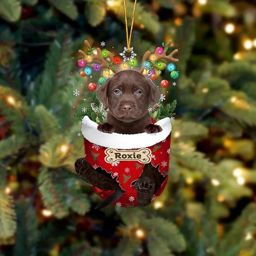 Vista 173 de LOVELYPOD Adorno Personalizado de Perro Affenpinscher, Adornos de Navidad Affenpinscher Regalo para Amante de Perros, Adorno de Navidad Colgante