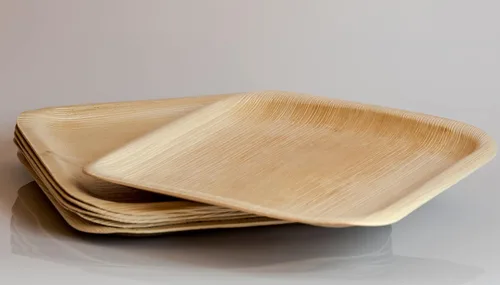 Vista 4 de Perfectware Platos de hoja de palma platos de bambú desechables de 8 pulgadas cuadrados (25 piezas) compostables y biodegradables ecológicos.