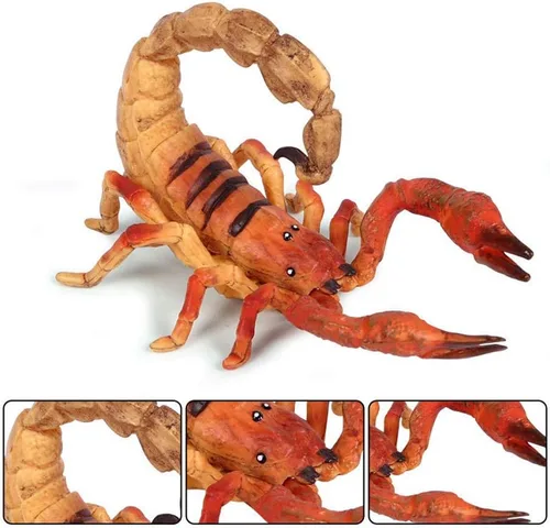 Vista 3 de Juego de 6 figuras realistas de insectos variados realistas, figuras de insectos modelo de insectos, regalo temático de insectos de Halloween, juego