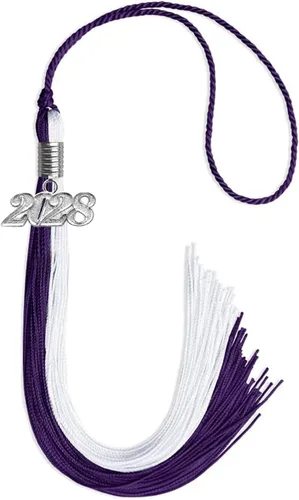 Vista 78 de Endea Graduation Borla de doble color con gota de fecha plateada (negro/oro antiguo, 2025)