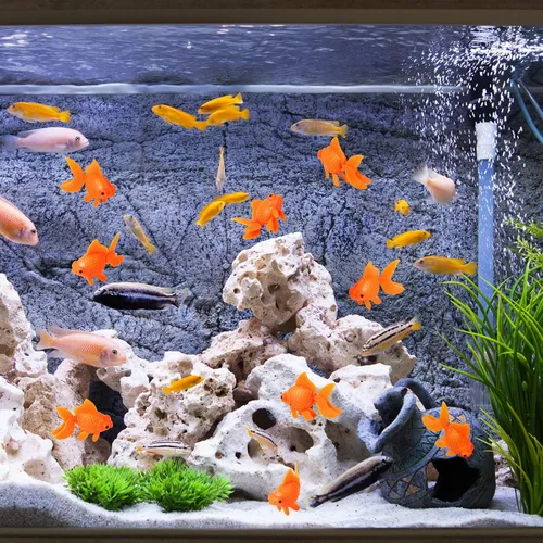 Vista 3 de 12 piezas de peces artificiales falsos para acuario, pecera de peces, terrario, decoración flotante en movimiento, adorno de pez dorado de plástico