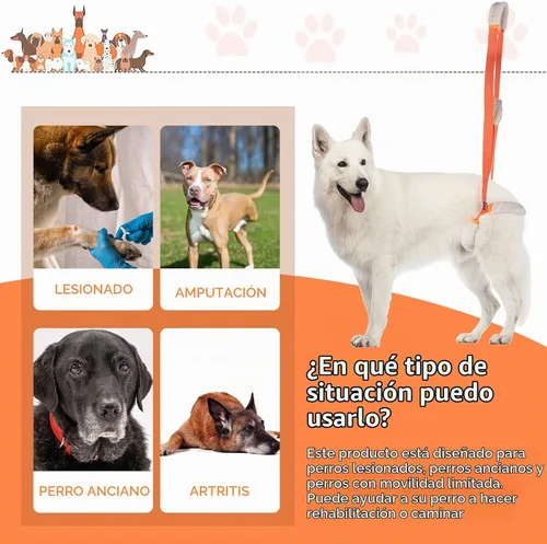 Vista 5 de Mixweer - Arnés de soporte para patas traseras de perro, 2 unidades, color Ayuda para problemas de movilidad de personas mayores, correas