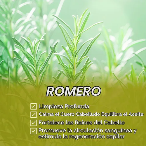 Vista 3 de Barra de champú para el cabello, limpieza profunda para la pérdida de cabello del cuero cabelludo, champú orgánico control de aceite, 0 aceite