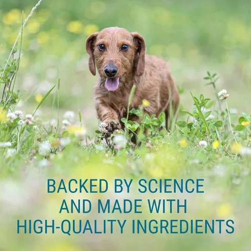 Vista 5 de Nutramax Denosyl para perros pequeños y gatos