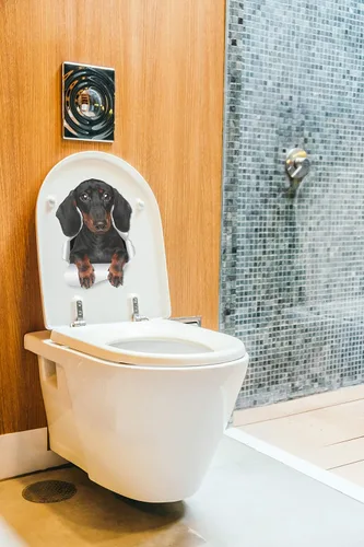 Vista 5 de Winston & Bear Calcomanías de pared de perro salchicha lindo – Paquete de 2 – Adhesivo para inodoro de perro salchicha