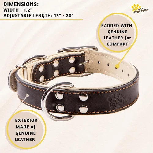 Vista 6 de Collar de cuero acolchado para perros medianos con correa de cuero de doble asa de 6 pies x 5/8 pulgadas