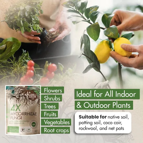 Vista 5 de Micorrizas 4X de 4 onzas para plantas – Inoculante de micorrizas – Potenciador de raíces y Myco concentrado, micorrizal superior para plantas, polvo