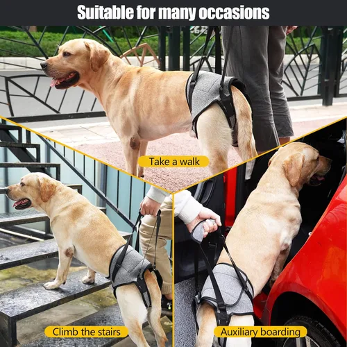 Vista 6 de Arnés de elevación para perros, arnés de soporte para patas traseras, arnés de soporte trasero ajustable, color gris, pequeño