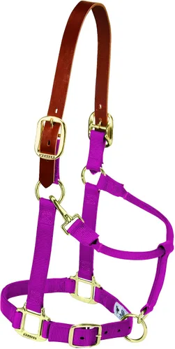 Vista 14 de Weaver Equine Breakaway Horse Halter, Supple Leather Crown, Adjustable Brass Throat Snap Halters for Horses, Equine Tack
