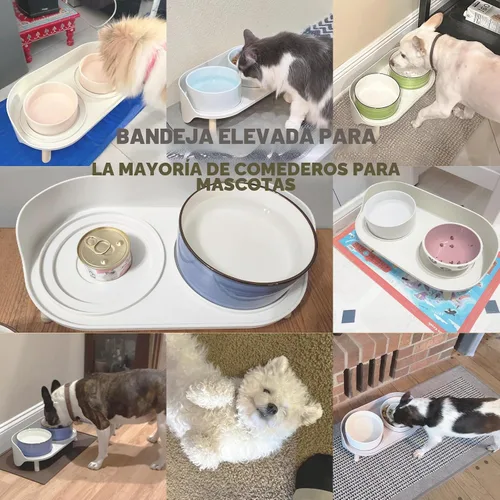 Vista 8 de Soporte elevado para comedero para perros, mesa de comedor elevada para perros y gatos pequeños y medianos, se adapta a platos de alimentos y agua
