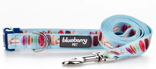 Vista 4 de Collares para perros personalizado. Colección con 8 patrones de ideas para fiestas, verano, postres, dulces. De Blueberry Pet. Pastel de macarrones