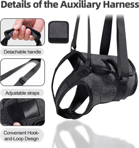 Vista 2 de Arnés acolchado suave ajustable para patas traseras para perros grandes, para patas traseras débiles, lesionadas o discapacitadas, ayuda a apoyar a