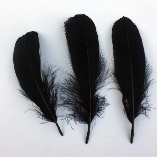Vista 3 de Juego de plumas naturales de ganso, accesorios para ropa (100 unidades) de Sowder