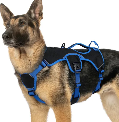 Vista 44 de rabbitgoo - Arnés para perros a prueba de fugas, arnés para mascotas acolchado y suave de cuerpo completo, arnés reflectante ajustable sin tirones
