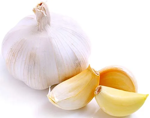 Vista 2 de Aceite Esencial de Ajo (Allium Sativum) 100% Puro y Natural 15 ML