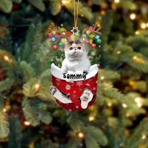 Vista 14 de Adorno personalizado de gato de rizo americano, adorno personalizado con nombre de mascota, colgante acrílico plano impreso en 2D, Papá Noel y gato