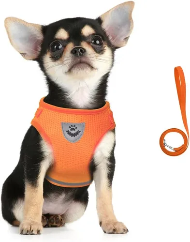 Vista 10 de FEimaX juego de arnés y correa para perro para caminar, de malla suave ajustable de control fácil, arneses de chaleco ligeros para gatos con tiras