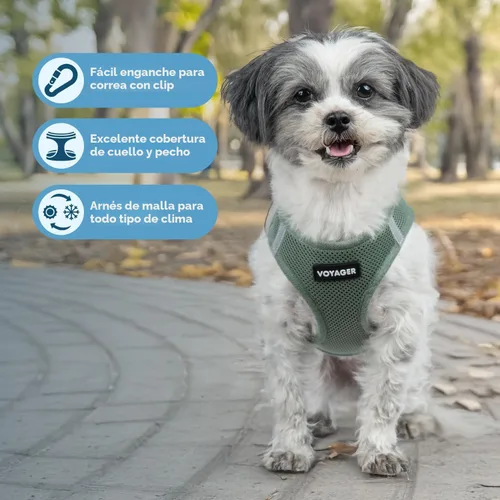 Vista 2 de Best Pet Supplies Voyager Step-In Air - Arnés para mascotas con entrada por las patas, malla para todo tipo de clima, reflectante, arnés sin tirón