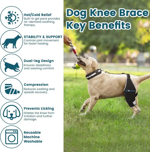 Vista 4 de Rodillera para perro para desgarro de ACL para pierna trasera con compresa caliente/fría, soporte ajustable para cadera de perro para desgarro