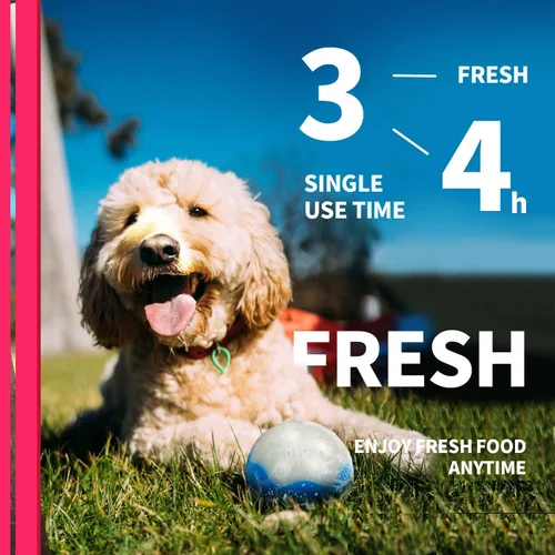 Vista 5 de ALL FOR PAWS Chill Out - Bola de hielo refrigerante para perros, juguetes refrigerantes para masticar, juguete de dentición congelable