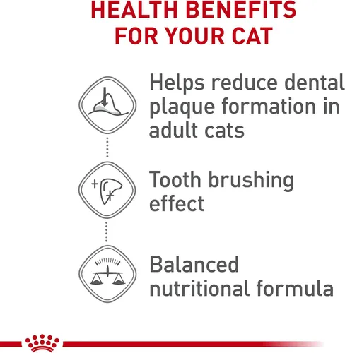 Vista 3 de Royal Canin Feline Care Nutrition Dental Care Alimento seco para gatos adultos, bolsa de 3 libras