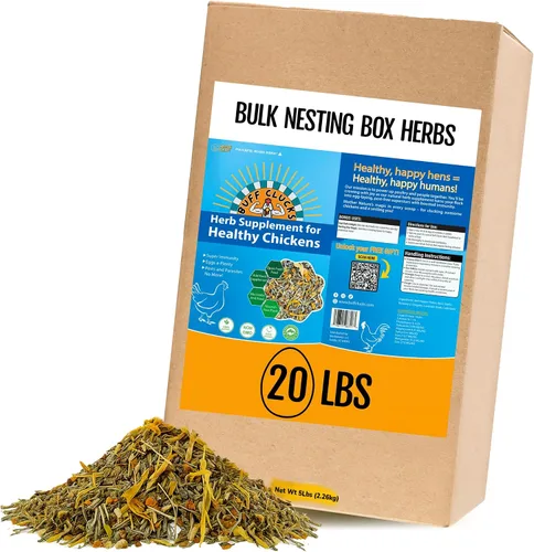 Vista 9 de Buff Clucks Suplemento de hierbas de fórmula de pollo para pollitos bebé, mezcla botánica totalmente natural para el bienestar diario, calidad