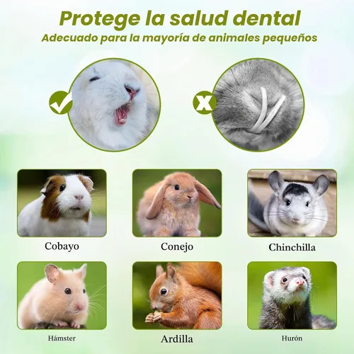 Vista 8 de Abizoo Juguetes masticables de conejo para conejo, madera de papaya natural, golosinas masticables con heno de alfalfa orgánica, zanahoria seca