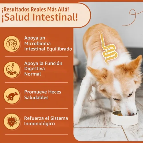 Vista 2 de ZEBORA Probióticos para perros, apoya la salud digestiva, 120 masticables suaves