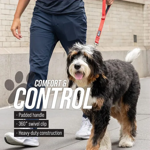 Vista 4 de Correa corta para perros con mango de tráfico para perros grandes. Ideal para acopladores de perro doble, perros de servicio y entrenamiento, 12