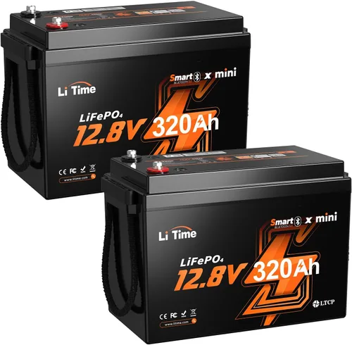 Vista 23 de Litime Batería de litio Xtra Mini LiFePO4 de 12V 100Ah para RV, cámper