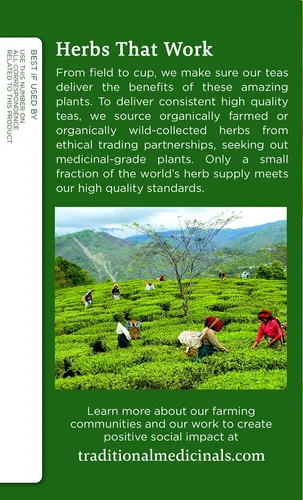 Vista 5 de Traditional Medicinals Té de hierbas orgánico de jengibre y manzanilla, alivia la indigestión ocasional o las náuseas (paquete de 3) – 48 bolsas