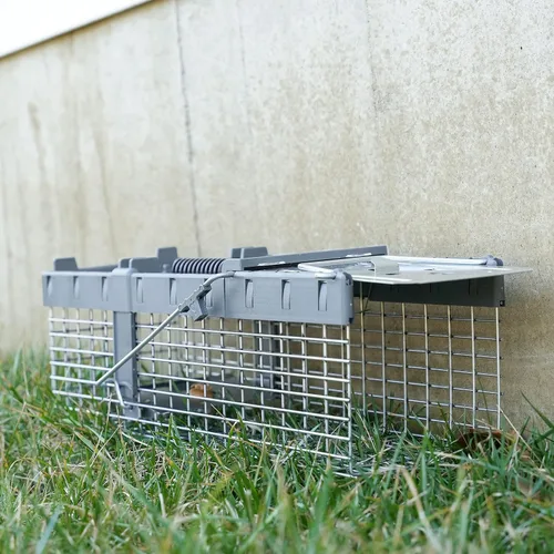 Vista 8 de Havahart Pequeña Trampa Humanitaria de Captura y Liberación de Animales Vivos de 1 Puerta para Ardillas, Comadrejas, Ardillas de Tierra y Otros