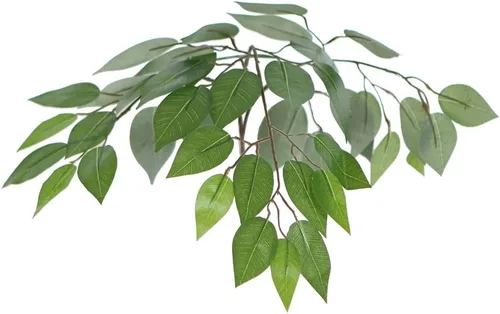 Vista 2 de De Vickerman: Arbusto de ficus artificial de 4 pies con hojas verde oscuro en canasta de mimbre decorativa