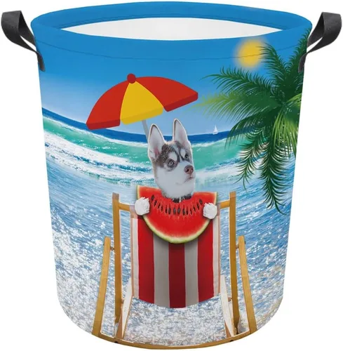 Vista 18 de Cesta plegable con estampado de perro, lindo Cavalier King Charles Spaniel Sandía con asa, caja de juguetes, bolsa de almacenamiento