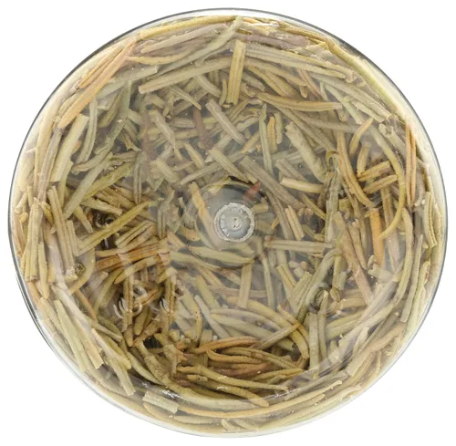 Vista 6 de 365 by Whole Foods Market, Hoja de romero entera, 0.46 oz