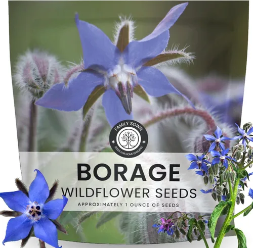 Vista 9 de Borraja - 200 semillas para plantar - Temporada 2026 - Bolsa de 0.18 oz