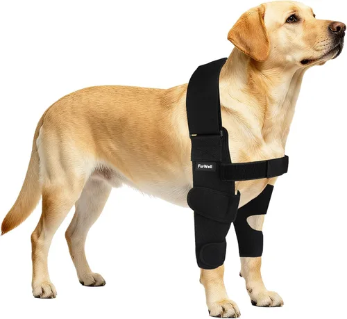 Vista 11 de Protector de codo para perro con correa de pecho desacoplada, transpirable, resistente a la abrasión, soporte de codo ajustable para higroma