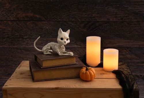 Vista 2 de Crazy Bonez Lindo gato esqueleto