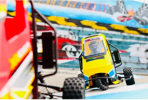 Vista 5 de HTLNUZD 1/8 RC X-Rider Flamingos 2.4G 3WD 2 en 1 ESC Triciclo eléctrico de alta velocidad para motocicleta Triciclo RTR Drift Vehículos para adultos