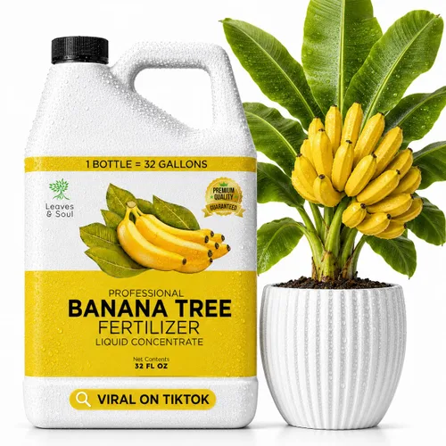 Vista 27 de Leaves & Soul Evergreen Tree Fertilizer, 6-4-6 Liquid Evergreen Food 8 oz Árbol de hoja perenne