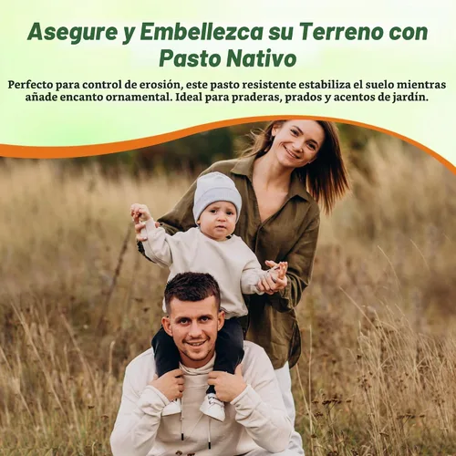 Vista 6 de Outsidepride Semilla de hierba azul grande de andropogon perenne, 1 libra, temporada cálida, resistente a la sequía, semillas de hierba de pradera