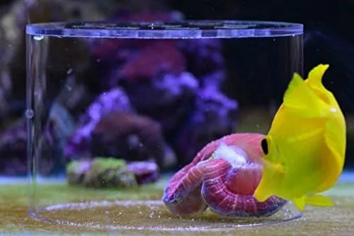 Vista 3 de Cubierta de protección de cría de alimentación de coral suave, protege la comida de coral no se pierda