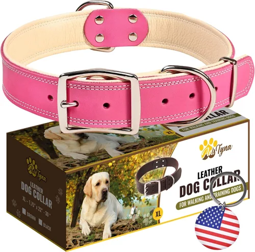 Vista 18 de ADITYNA Collar de perro de cuero negro resistente para perros pequeños, acolchado suave para mayor comodidad, collar de perro pequeño para caminar