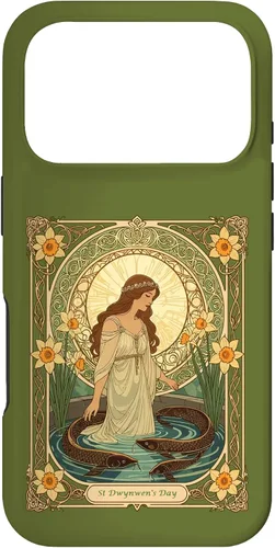 Vista 30 de Dwynwen's Well and Sacred Fish Case for iPhone 17